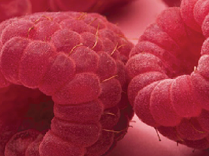Raspberries