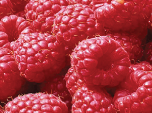 Raspberries